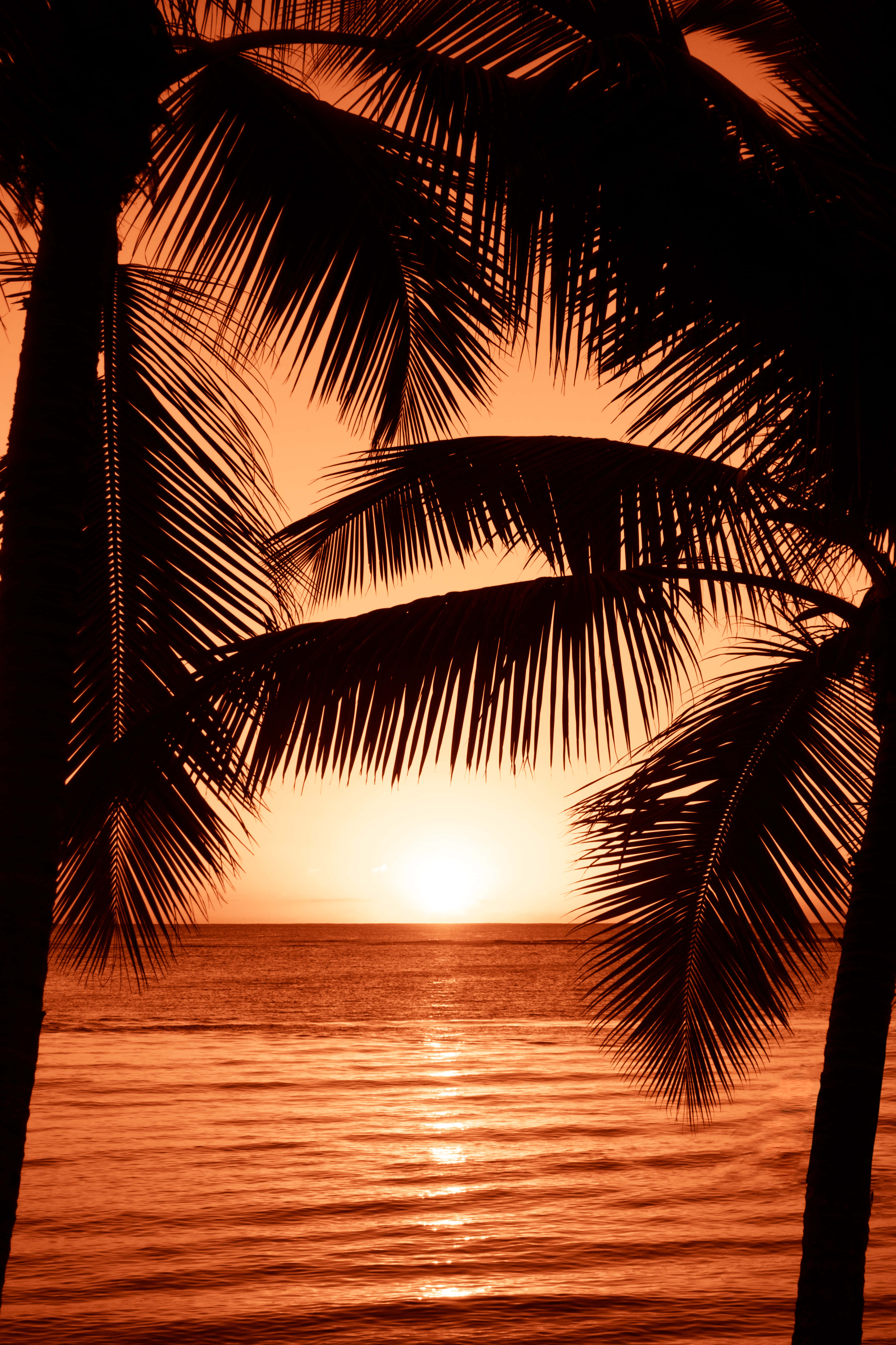 En vakker solnedgang ved stranden. Bakgrunner