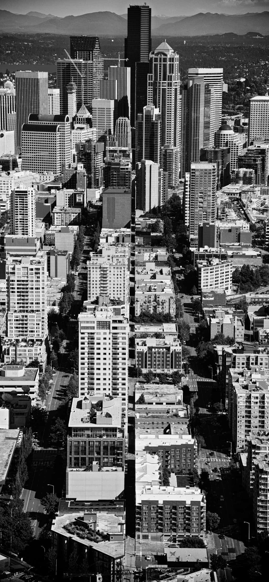 En vakker utsikt over Seattle fra iPhone X Bakgrunner