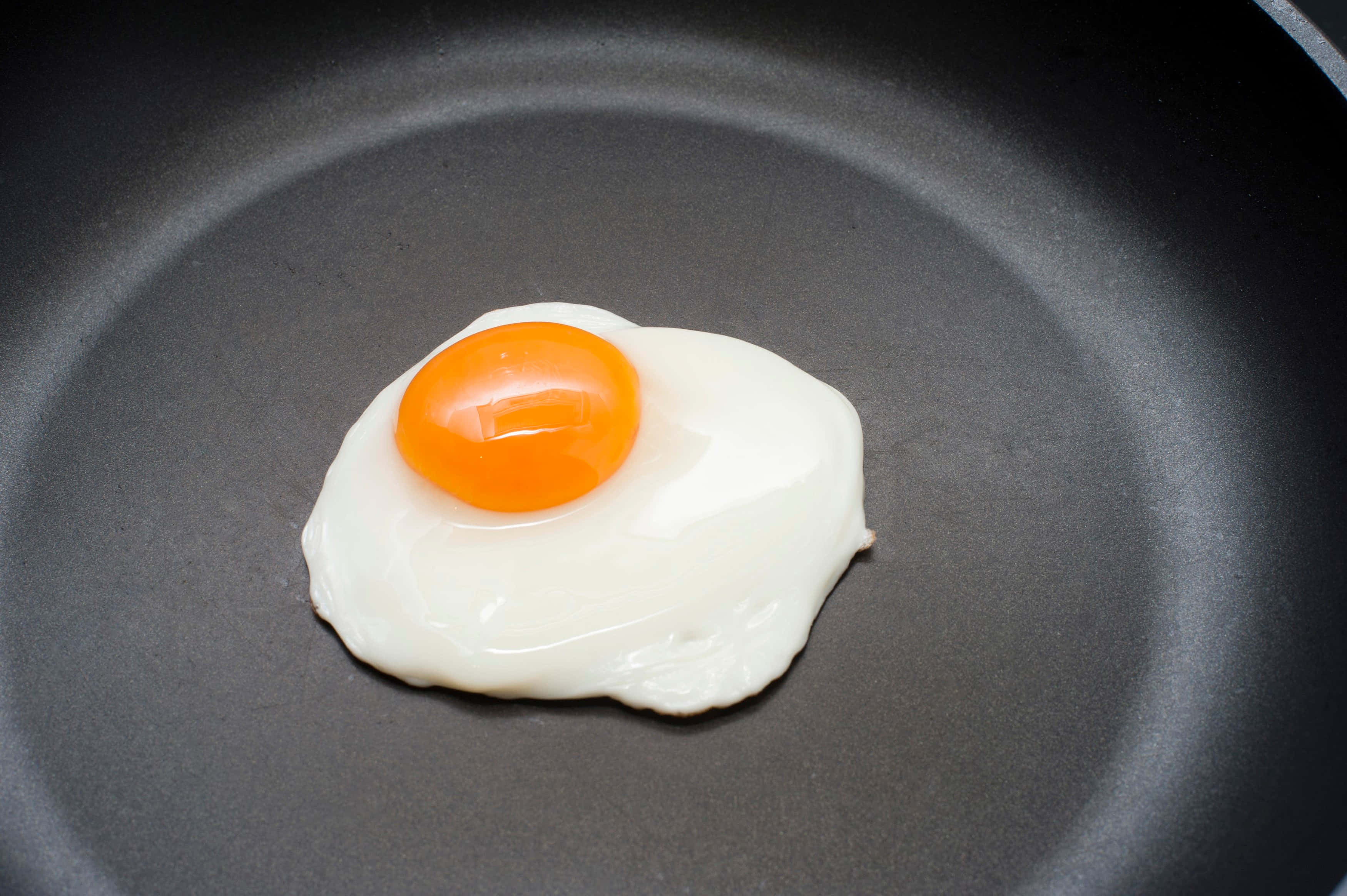 Enkel glede av egg Bakgrunner