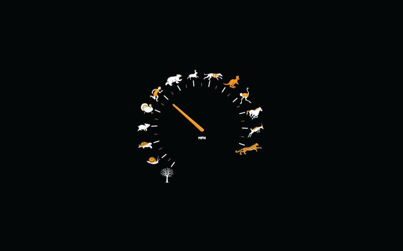 Enkel svart speedometer med dyr Bakgrunner