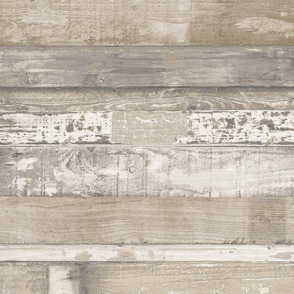 Estetisk beige bøketre Bakgrunner