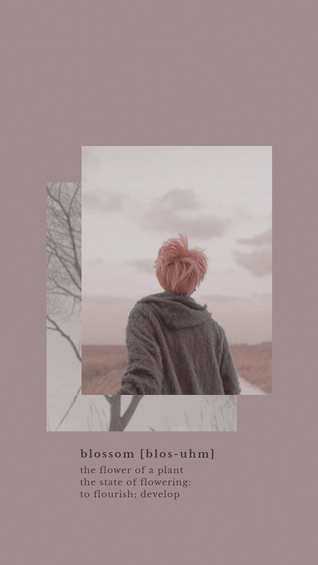 Estetisk BTS Jimin Blossom Bakgrunner