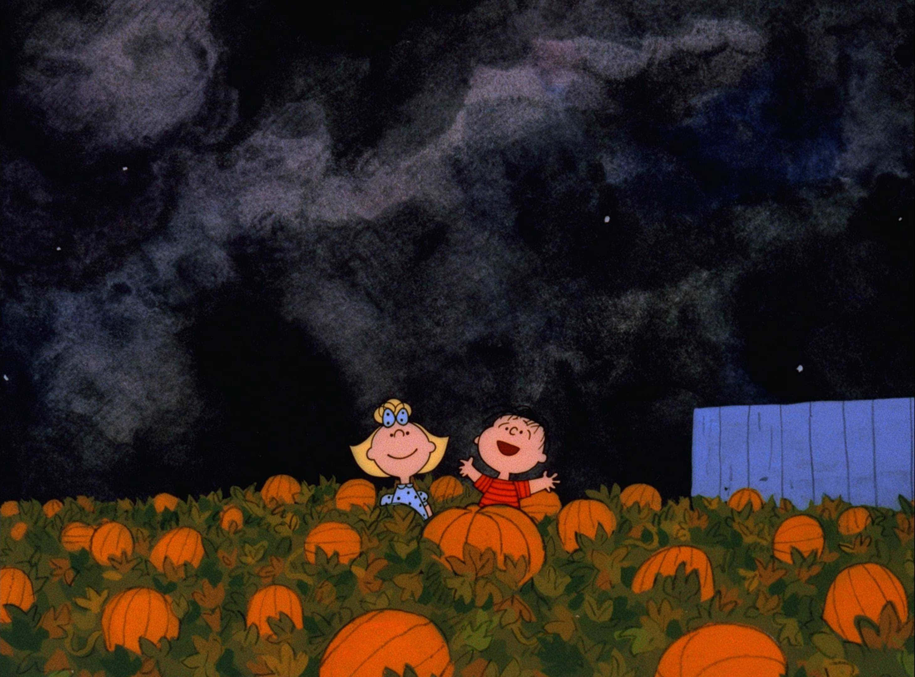 Estetisk Halloween-bakgrunn med Peanuts-figurer i et gresskaråker Bakgrunner