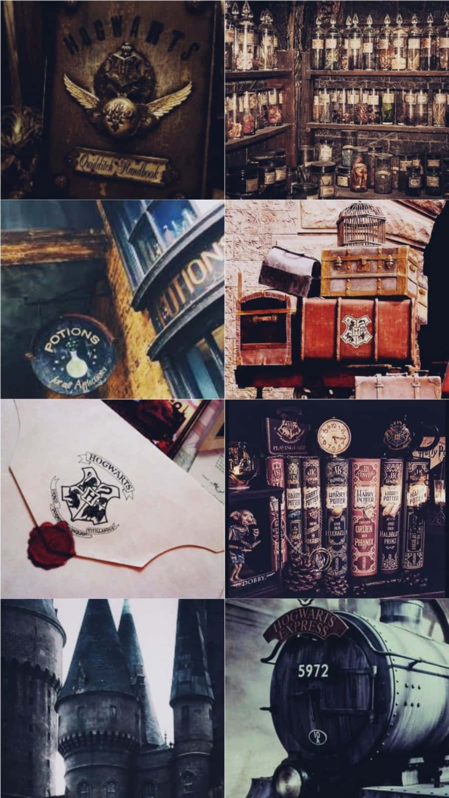 Estetisk Harry Potter vandrer gjennom skogen Bakgrunner