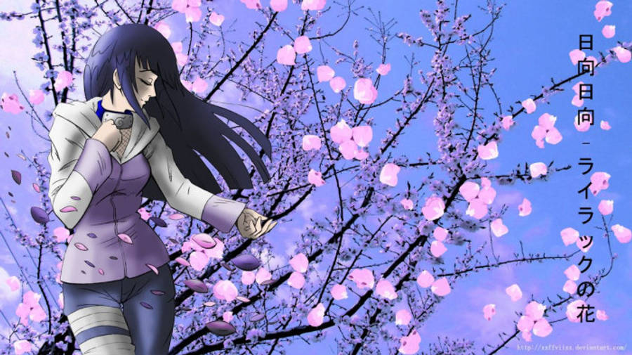 Estetisk Hinata ved Sakura-treet Bakgrunner