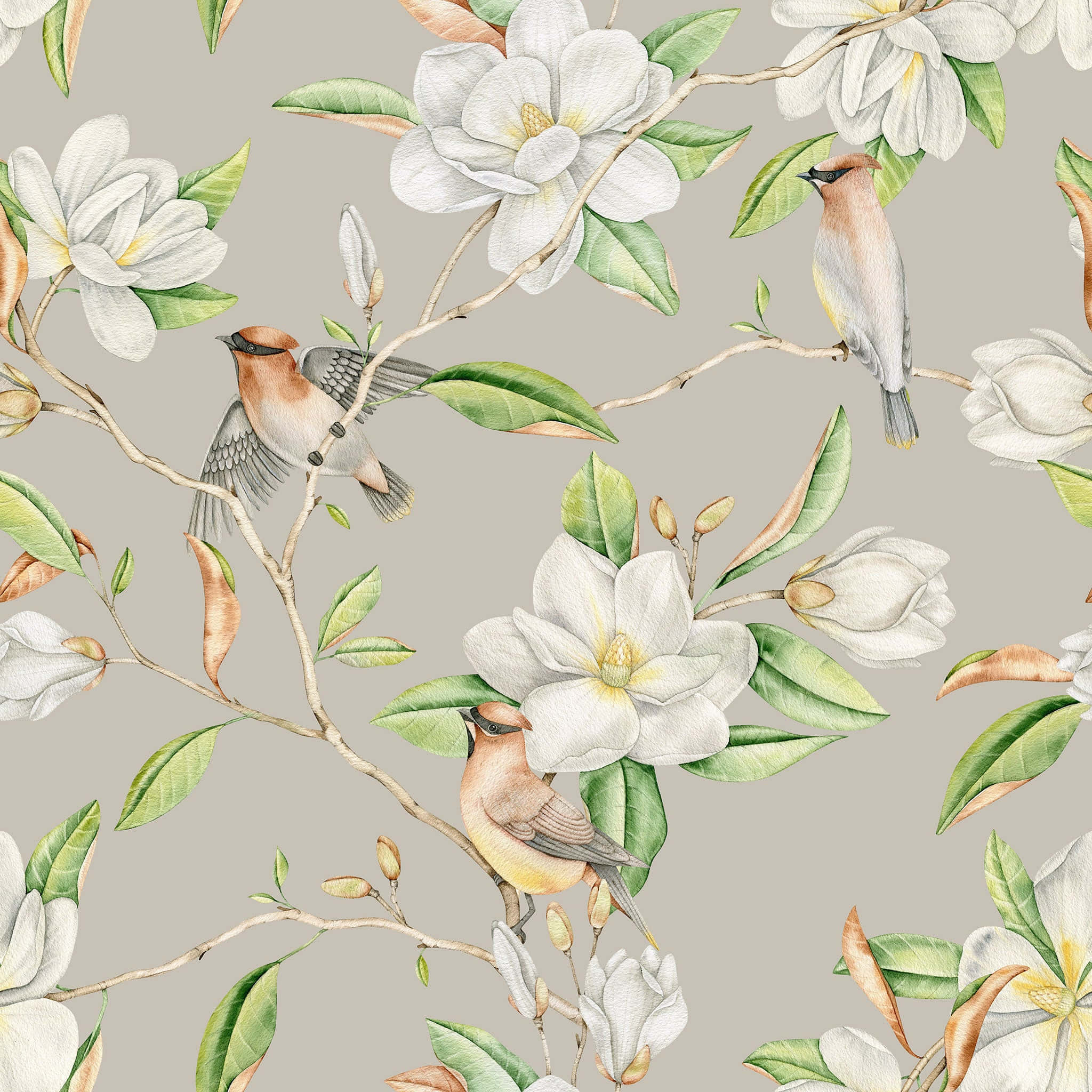 Estetisk magnoliablomst trykt design Bakgrunner
