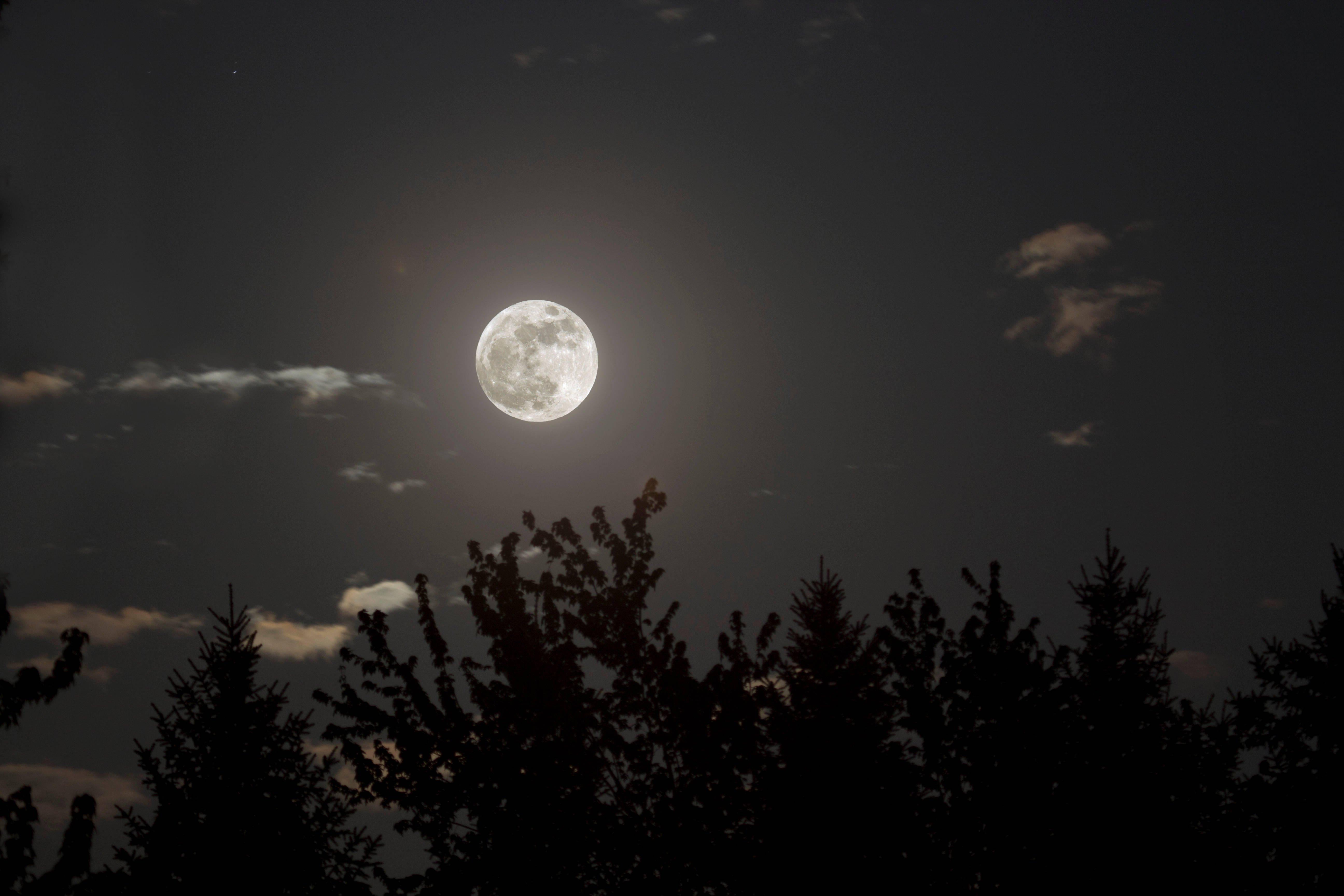 Estetisk måne i stille natt Bakgrunner