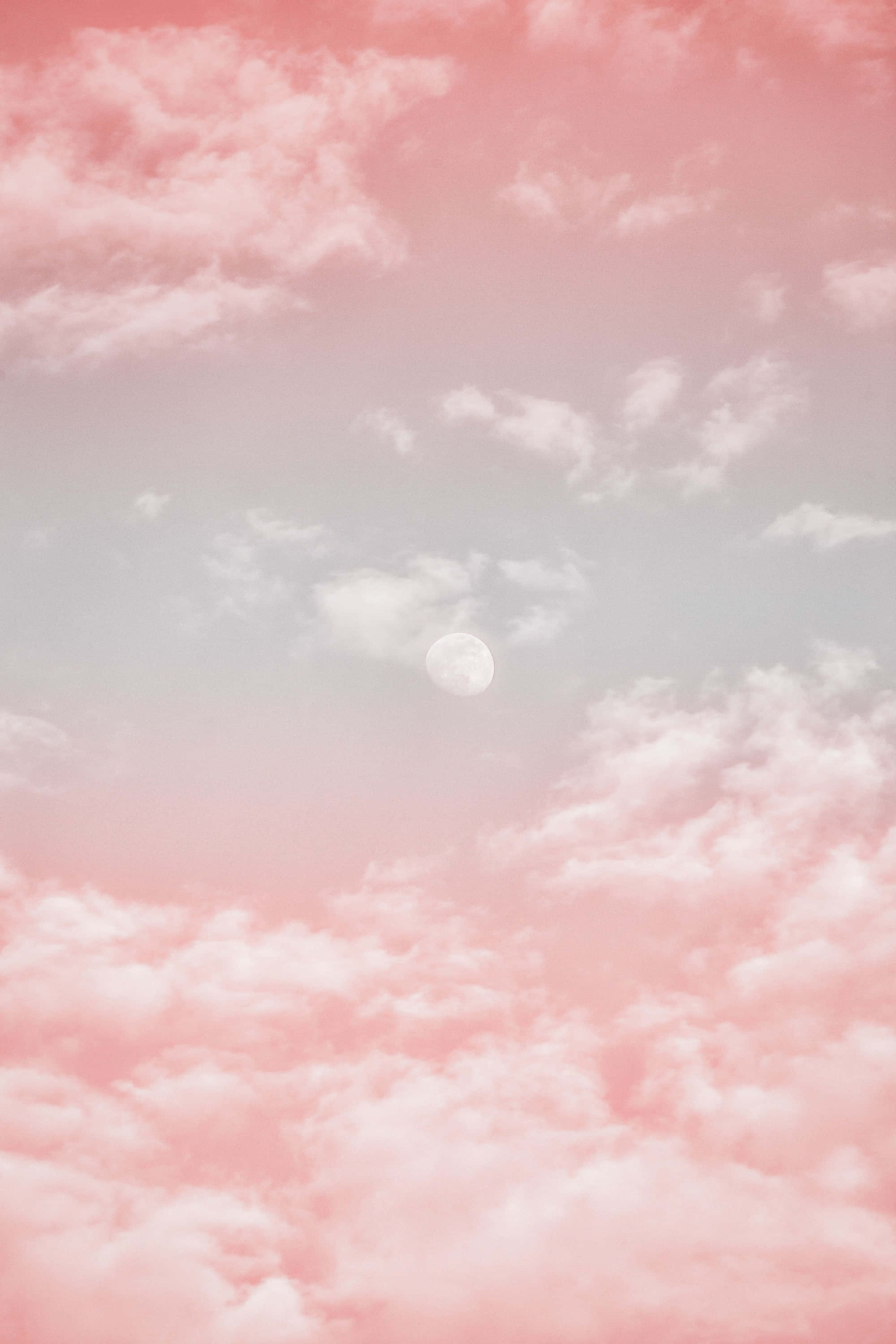 Estetisk rosa tapet for å tilføre et snev av drømmeaktighet til ethvert interiør Bakgrunner