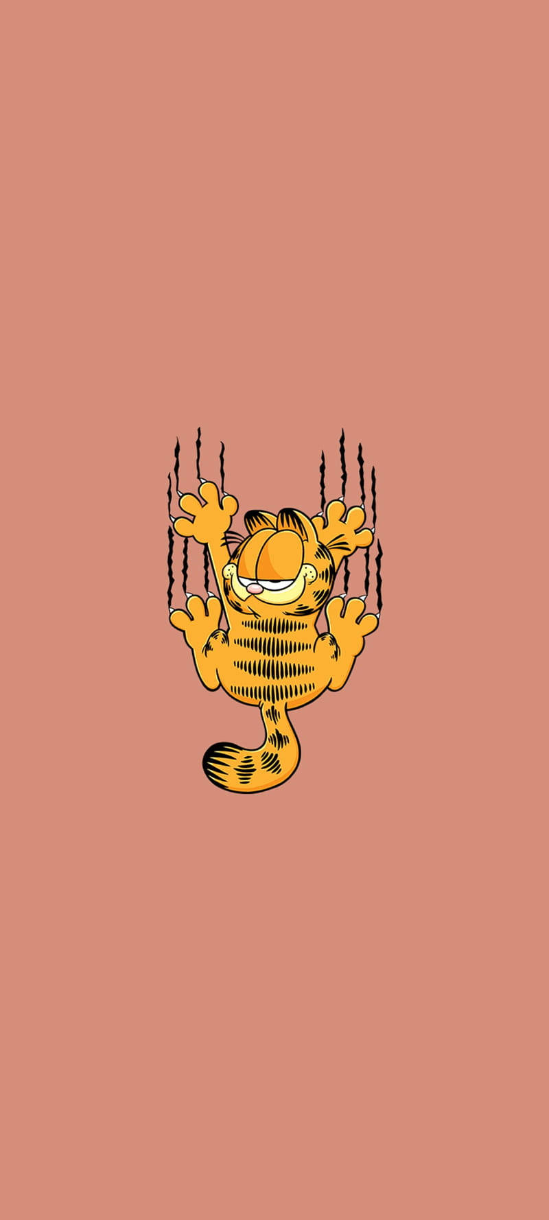 Estetisk tegneserierotete Garfield som river Bakgrunner