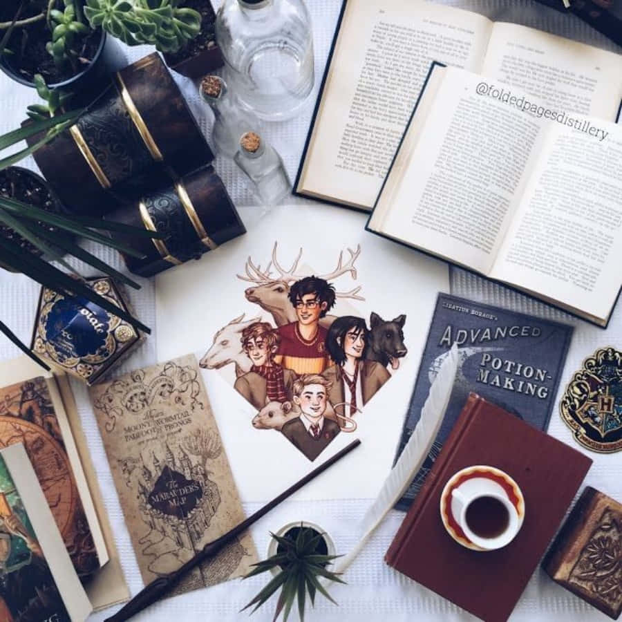 Estetisk vindusutstilling av Harry Potter-minner Bakgrunner