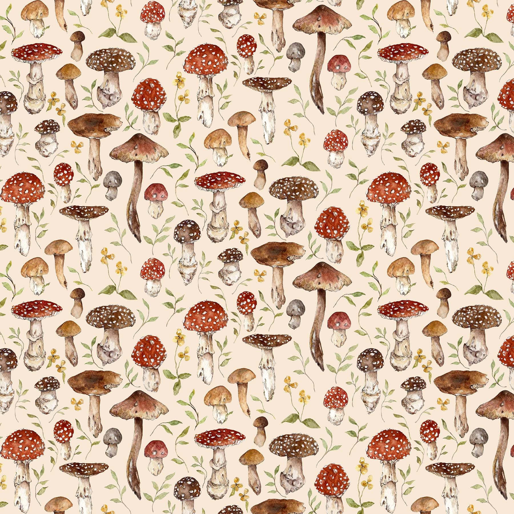 Estetisk vintage søt sopp beige Bakgrunner