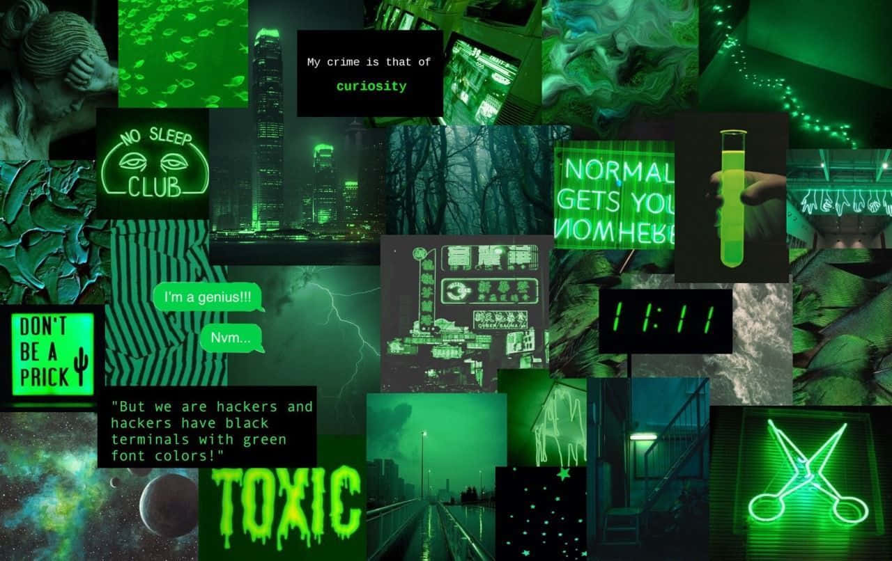 Estetiske grønne neontekst-bilder Bakgrunner