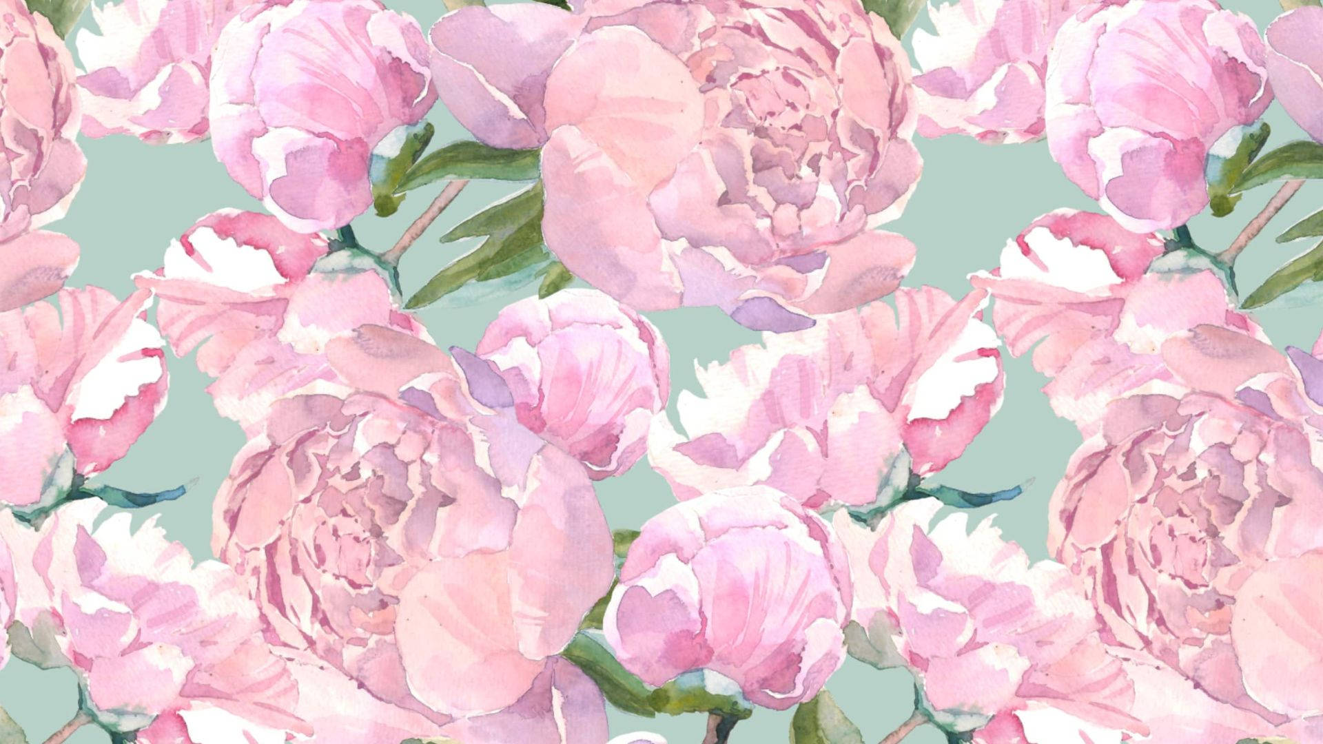 Estetiske rosa blomster med blader Bakgrunner