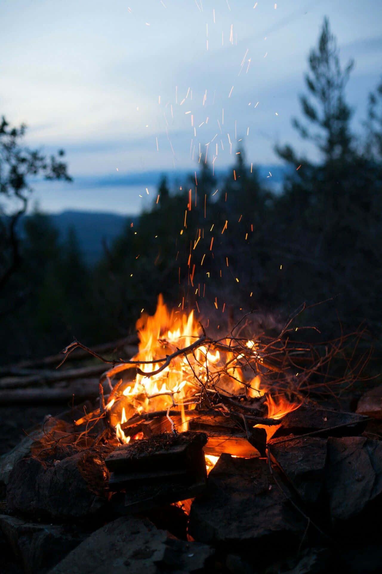 et bål brenner i skogen Bakgrunner