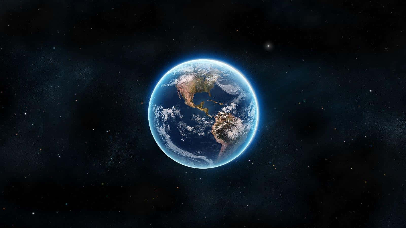 Et beroligende felt med lilla villblomster Bakgrunner