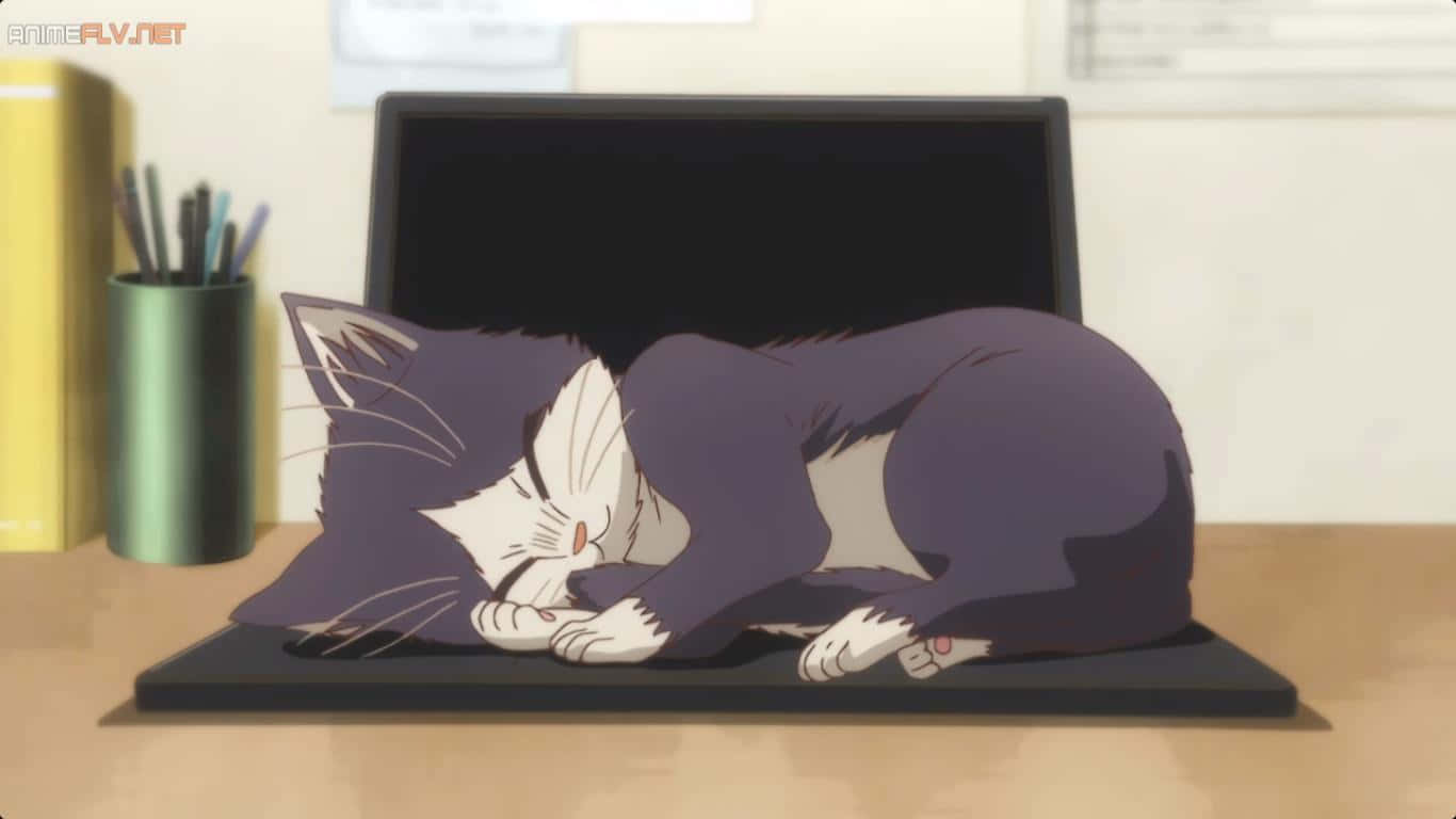 Et hjertevarmt øyeblikk av en mann som slapper av og leser med katten sin i en fredelig innendørs setting. Bakgrunner