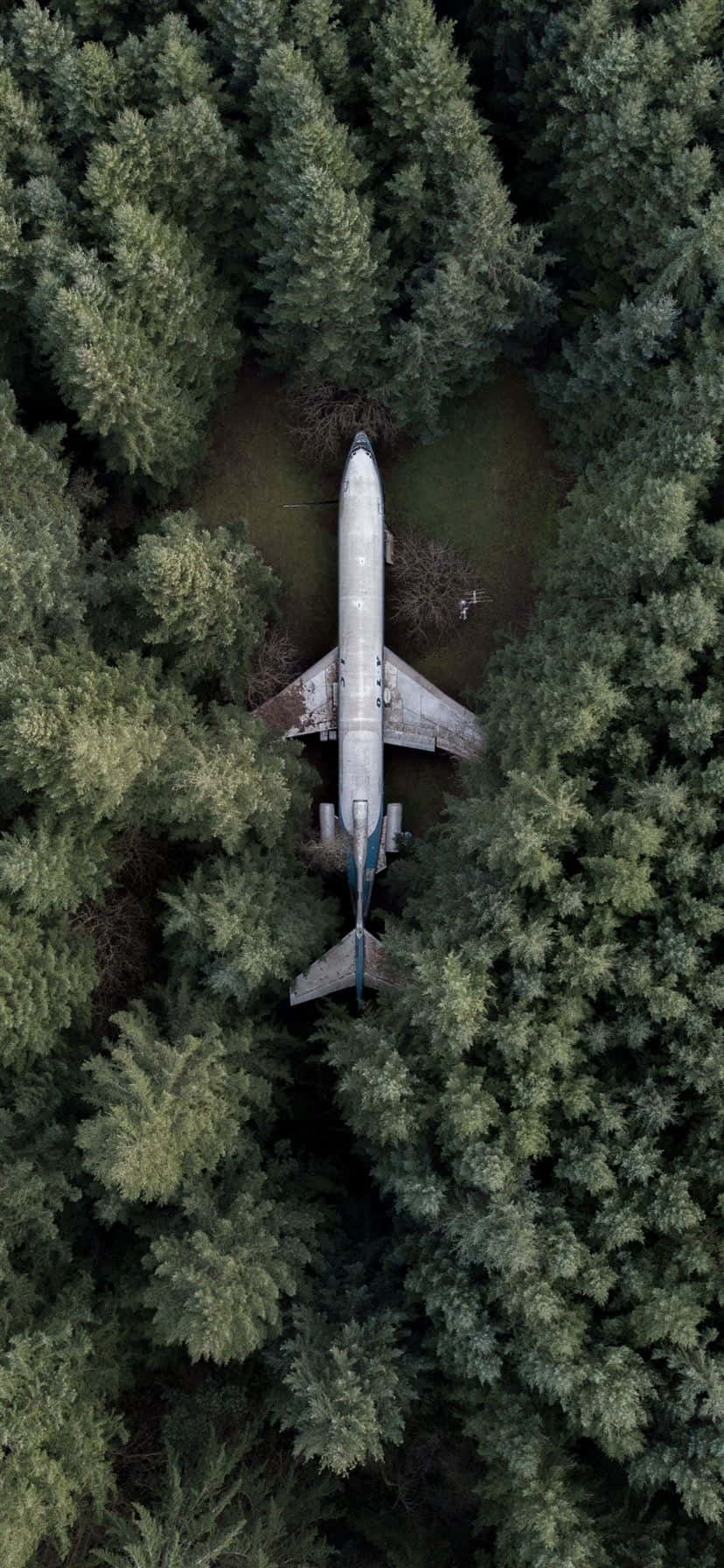 Et hvitt fly i flukt mot en blå himmelbakgrunn på en iPhone. Bakgrunner