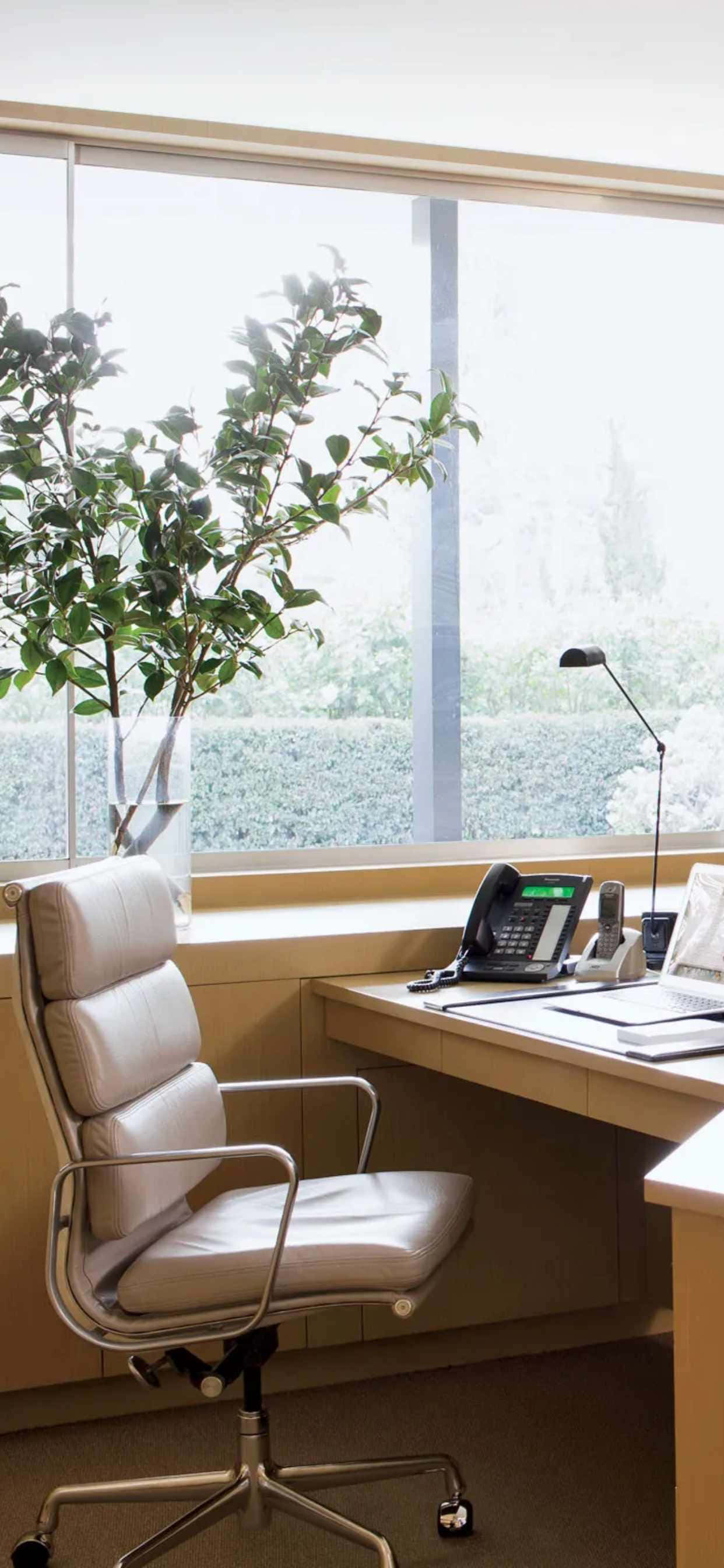 et hvitt skrivebord med en stol og en plante Bakgrunner