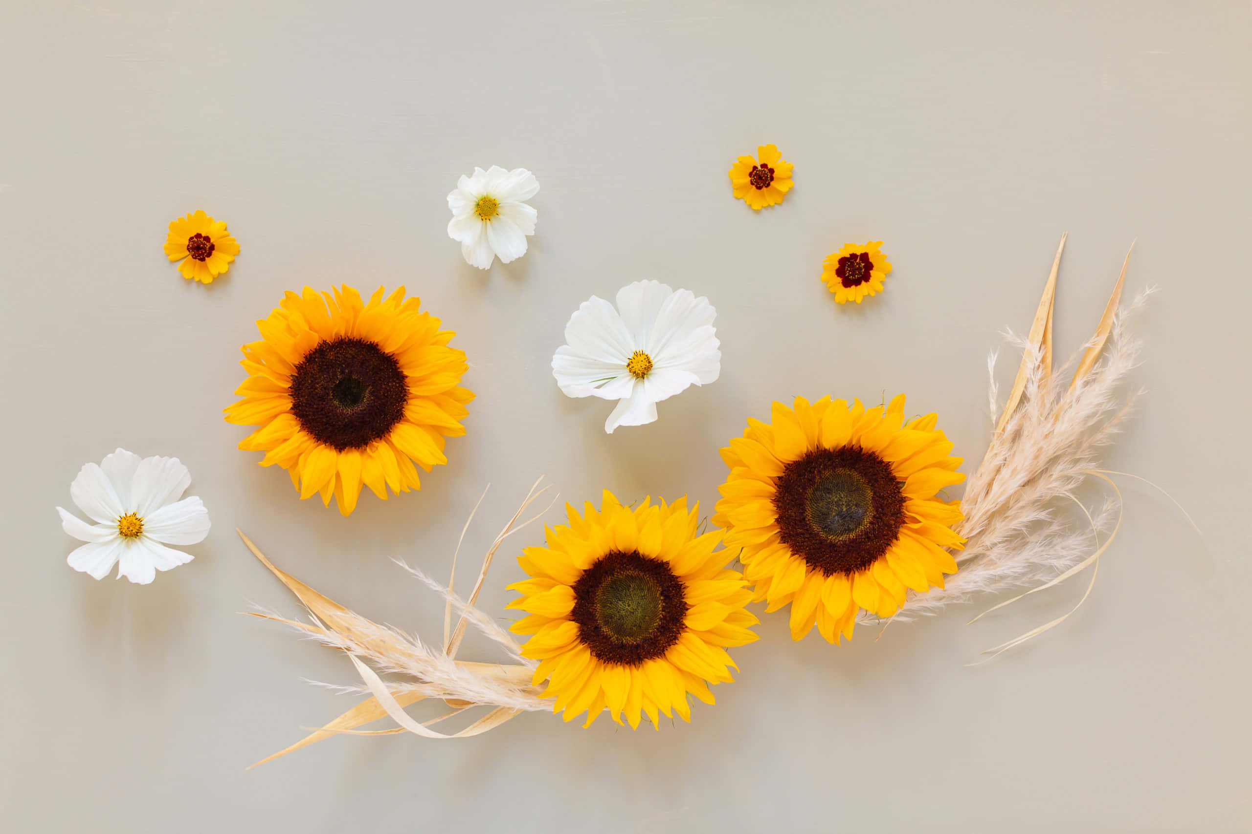 Et levende utvalg av praktfulle blomster Bakgrunner