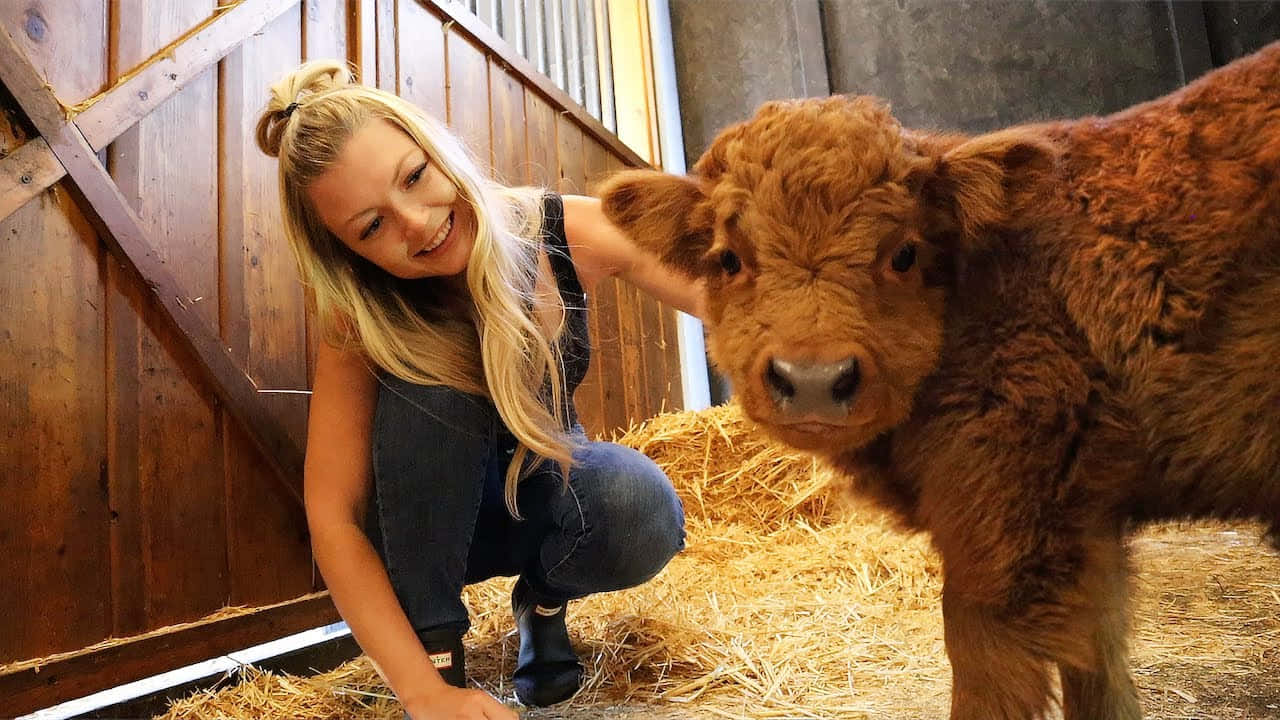 Et smil fra en søt ku Bakgrunner