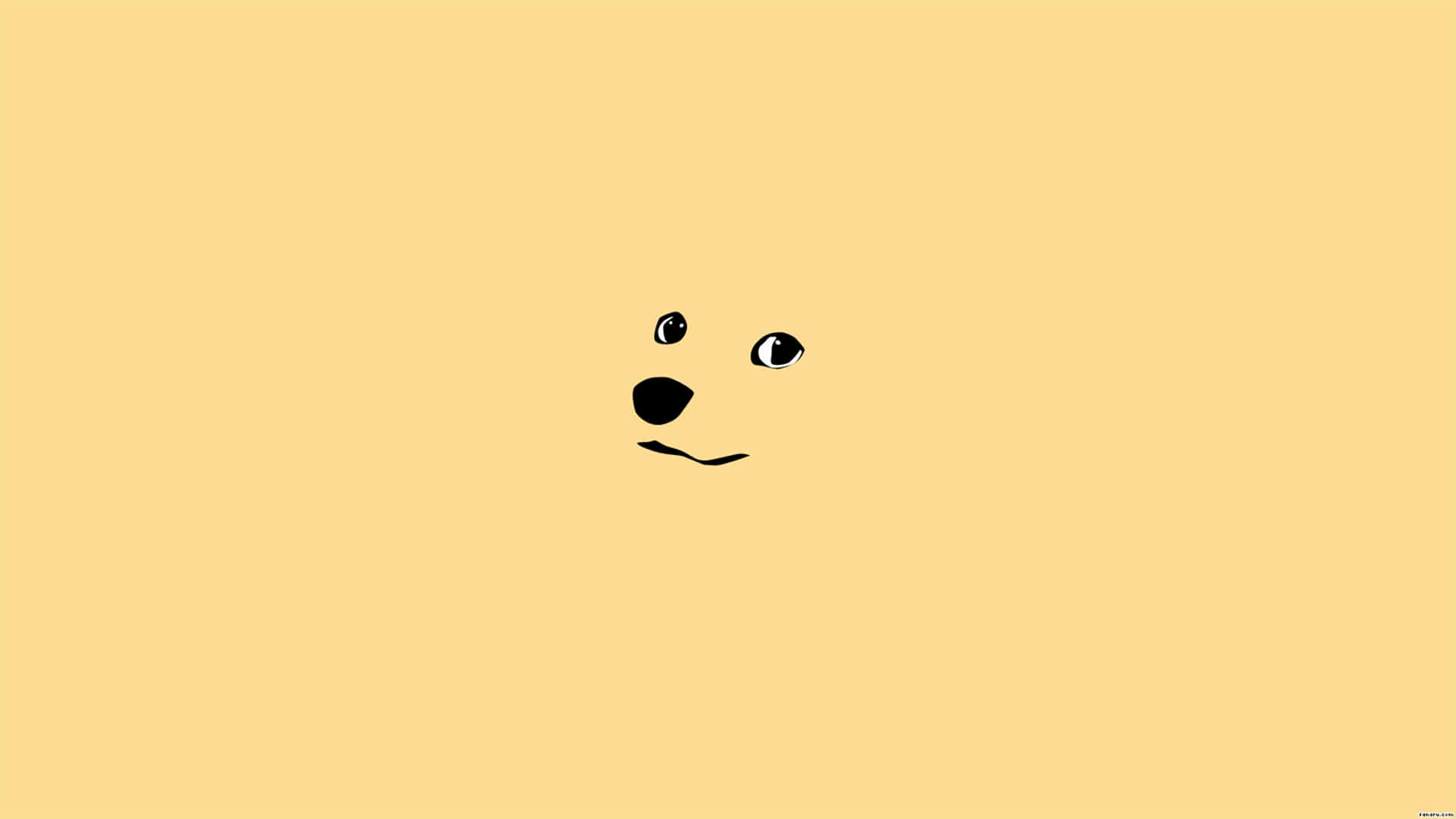 Et svart og gult teddybjørnansikt på en gul bakgrunn Bakgrunner