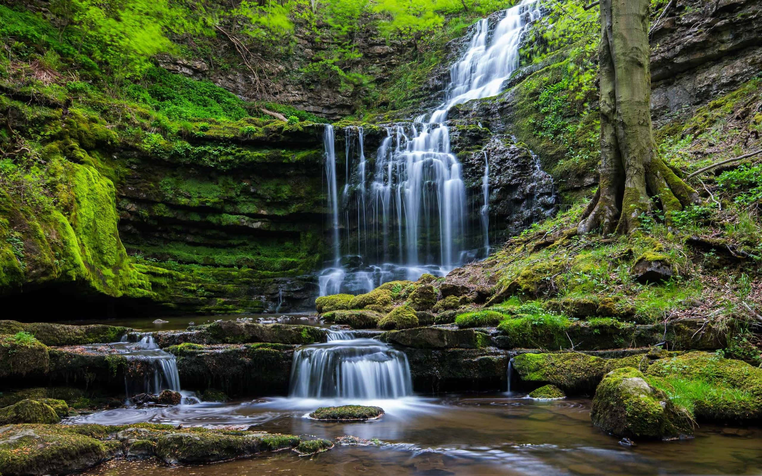 Et vakkert fossefall som fosser nedover en steinete elvebredd. Bakgrunner