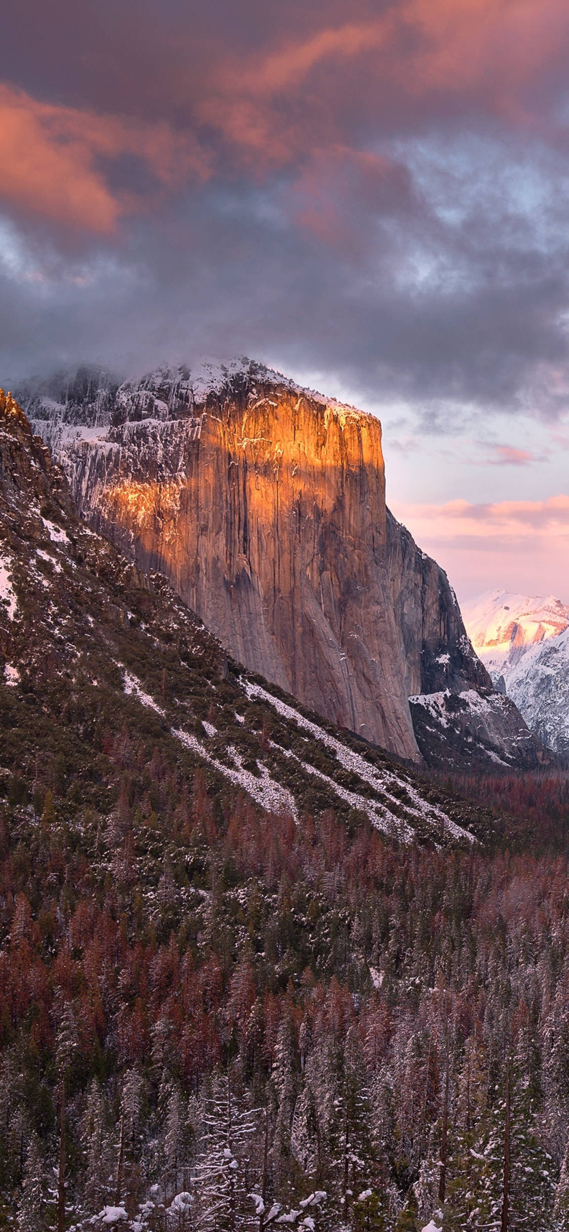 Et vakkert syn av Yosemite National Park sett gjennom linsen til en iPhone Bakgrunner