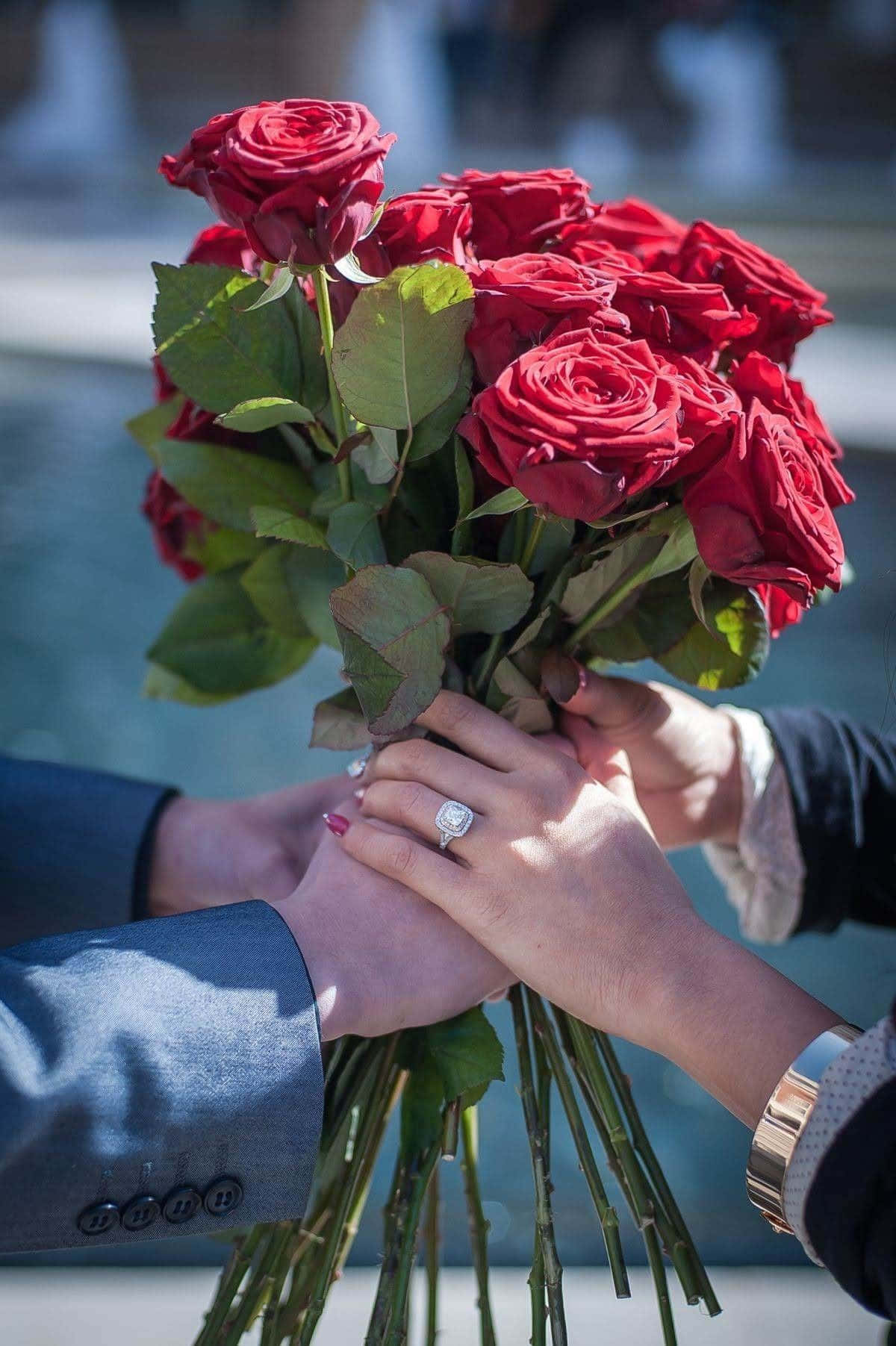 Et vakkert utvalg av kjærlighetsblomster i full blomst Bakgrunner