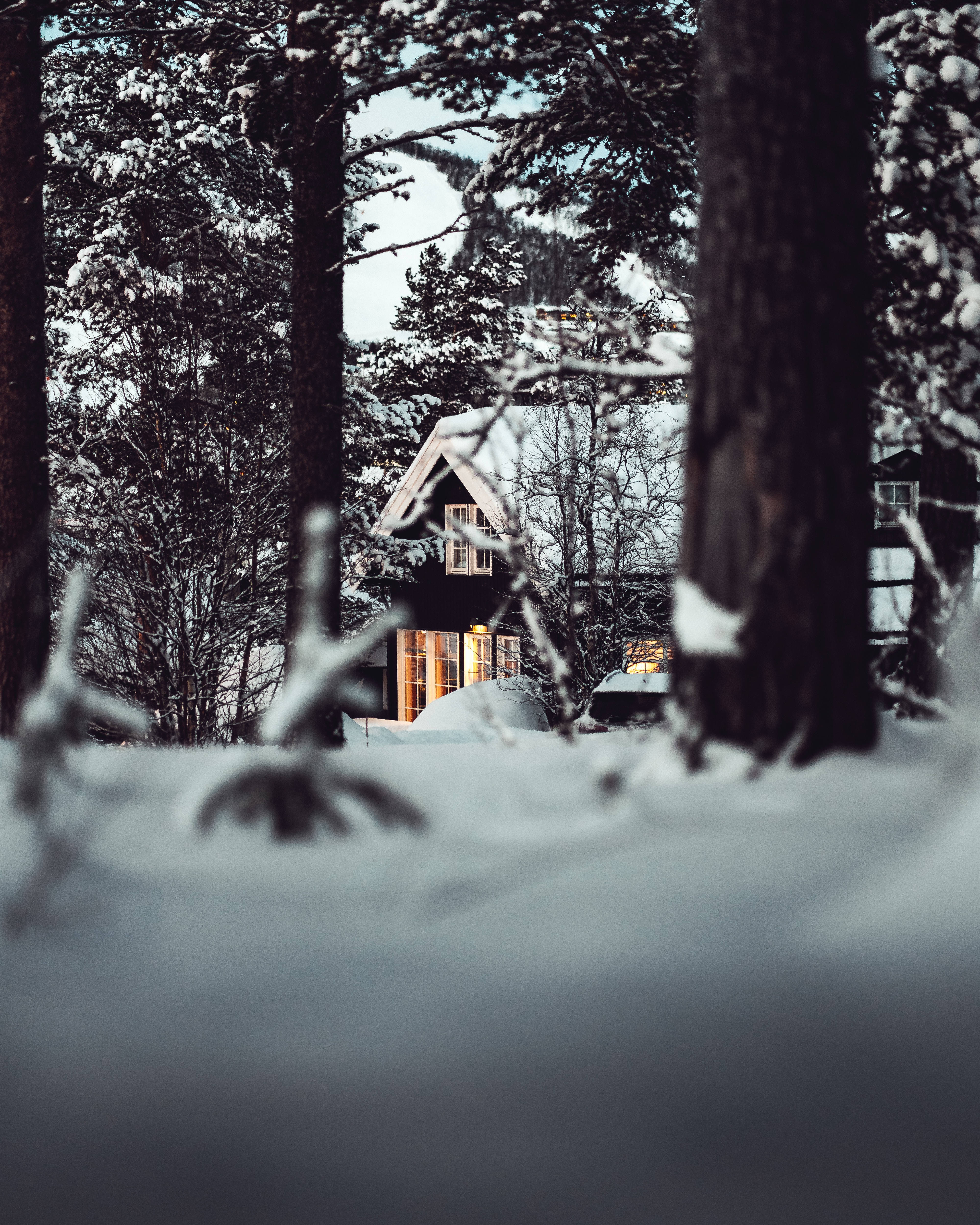 «Et vinterlandskap» Bakgrunner