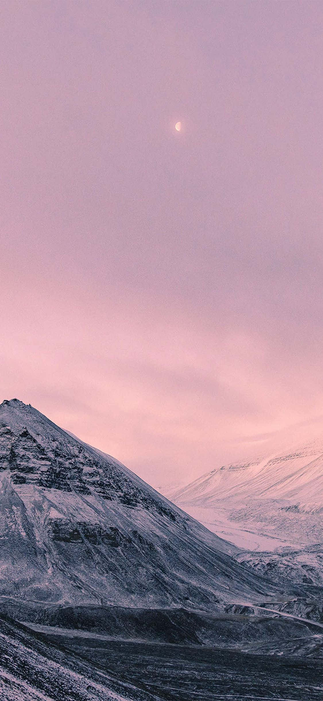 Eterisk skogsscene på iPhone X Bakgrunner