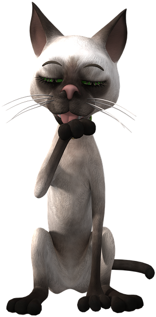 Ettertenksom siameserkatt tegneserie Bakgrunner