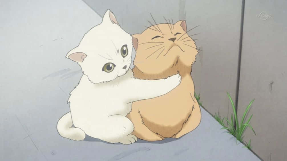 Få et glimt av denne sjarmerende lekne Anime-katten Bakgrunner