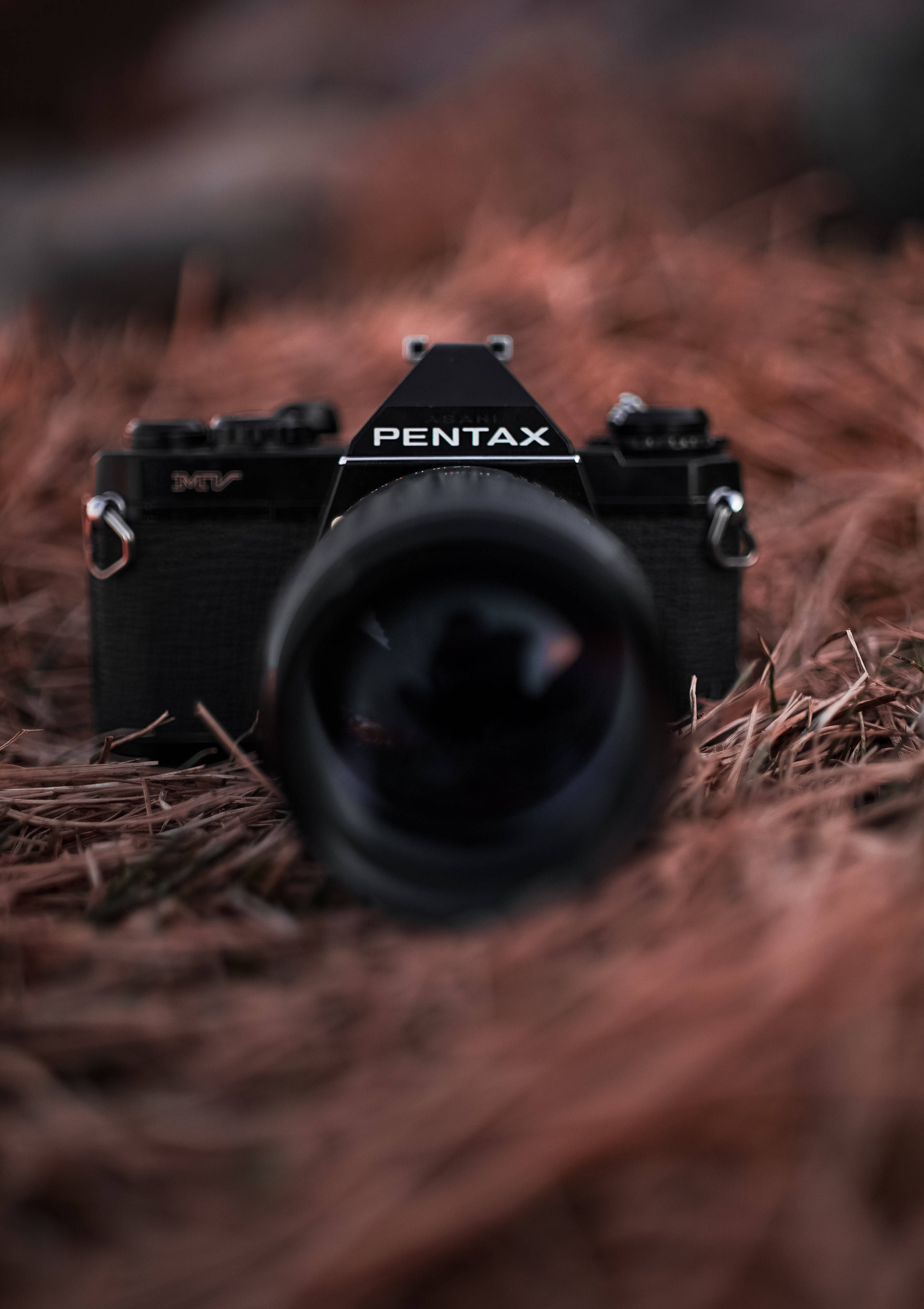 Fang livets skjønnhet med et Pentax-kamera Bakgrunner