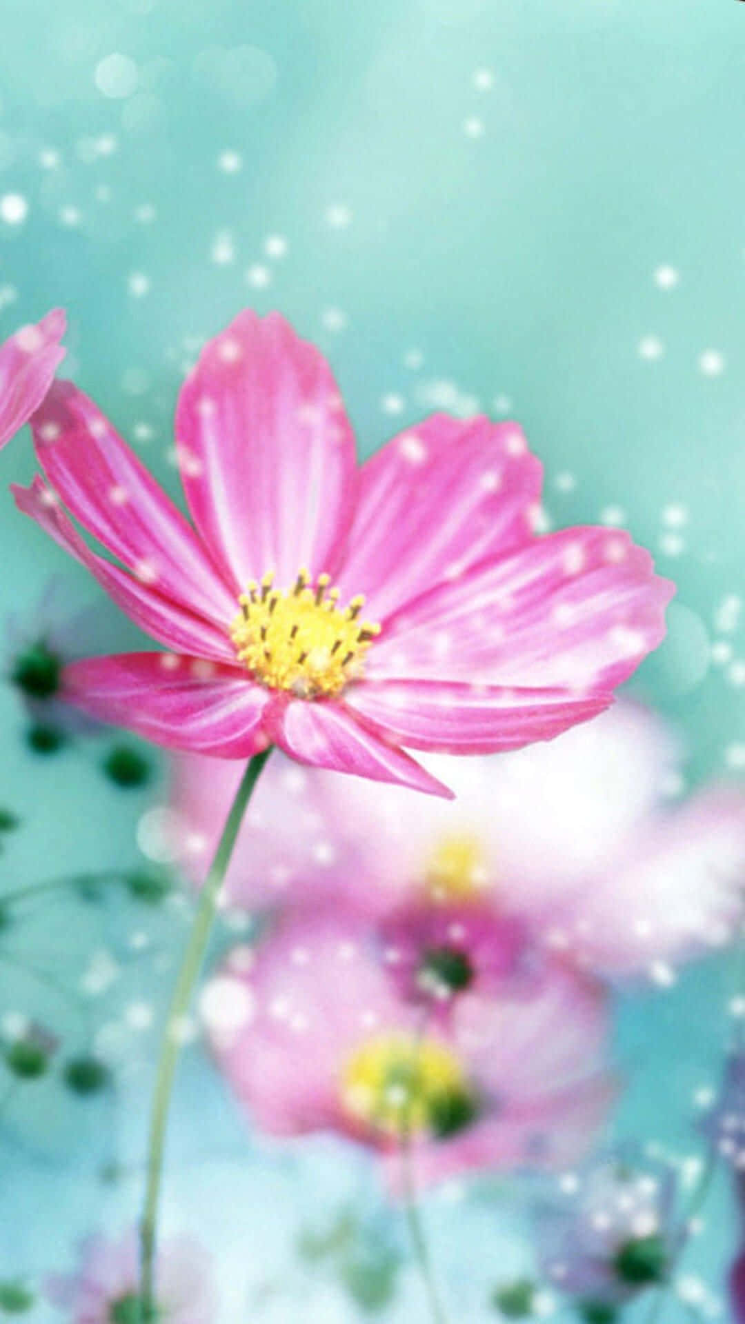 Fang naturens skjønnhet med dette livlige blomsterbakgrunnsbildet til iPhone Bakgrunner