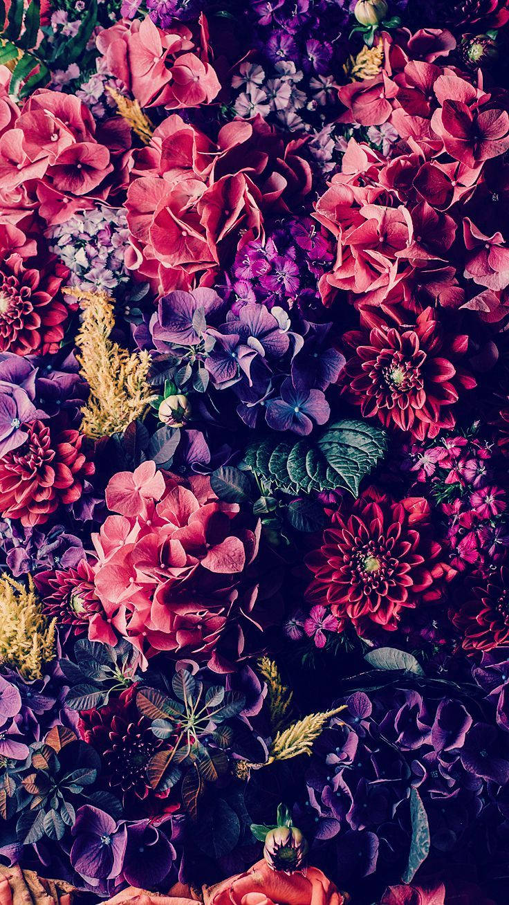 Fargerik mørkskygget blomster iPhone Bakgrunner
