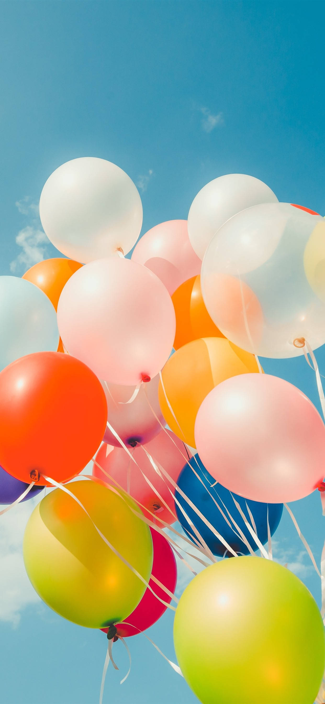 Fargerike Ballonger Søt iPhone Bakgrunner