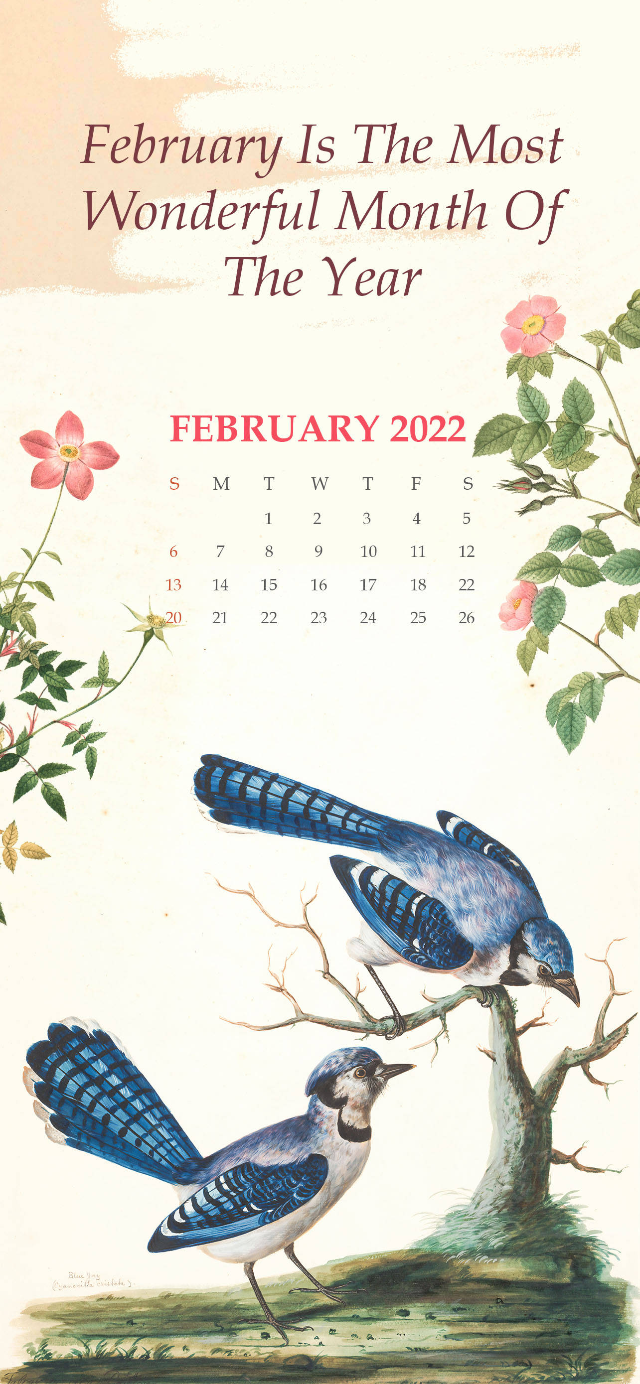 Februar 2022 Kalender Med Blå Fugler Bakgrunner