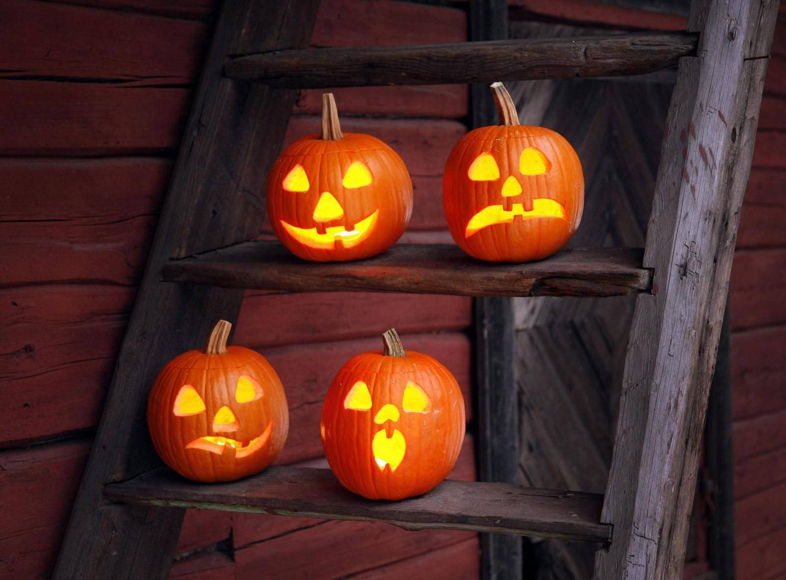 Feire Halloween med morsomme og gøye gresskar Bakgrunner