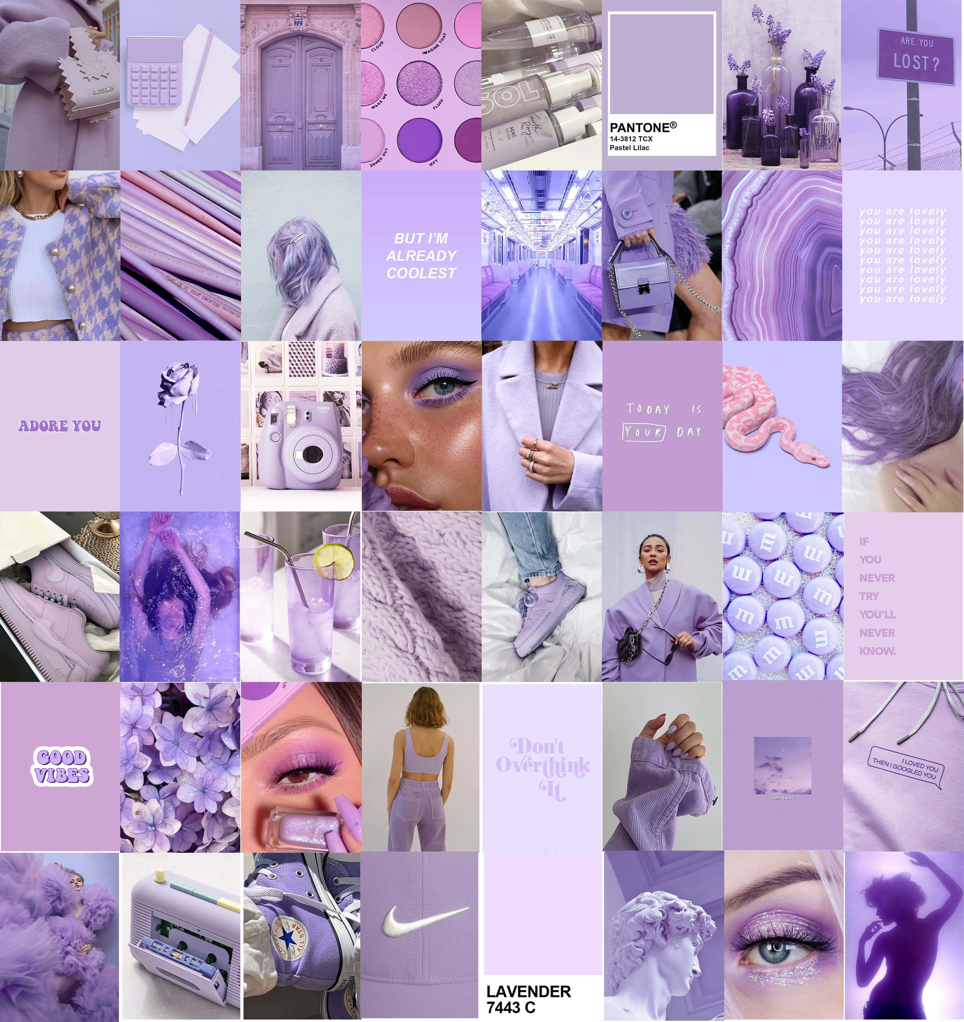 Feminin estetisk lilla collage Bakgrunner