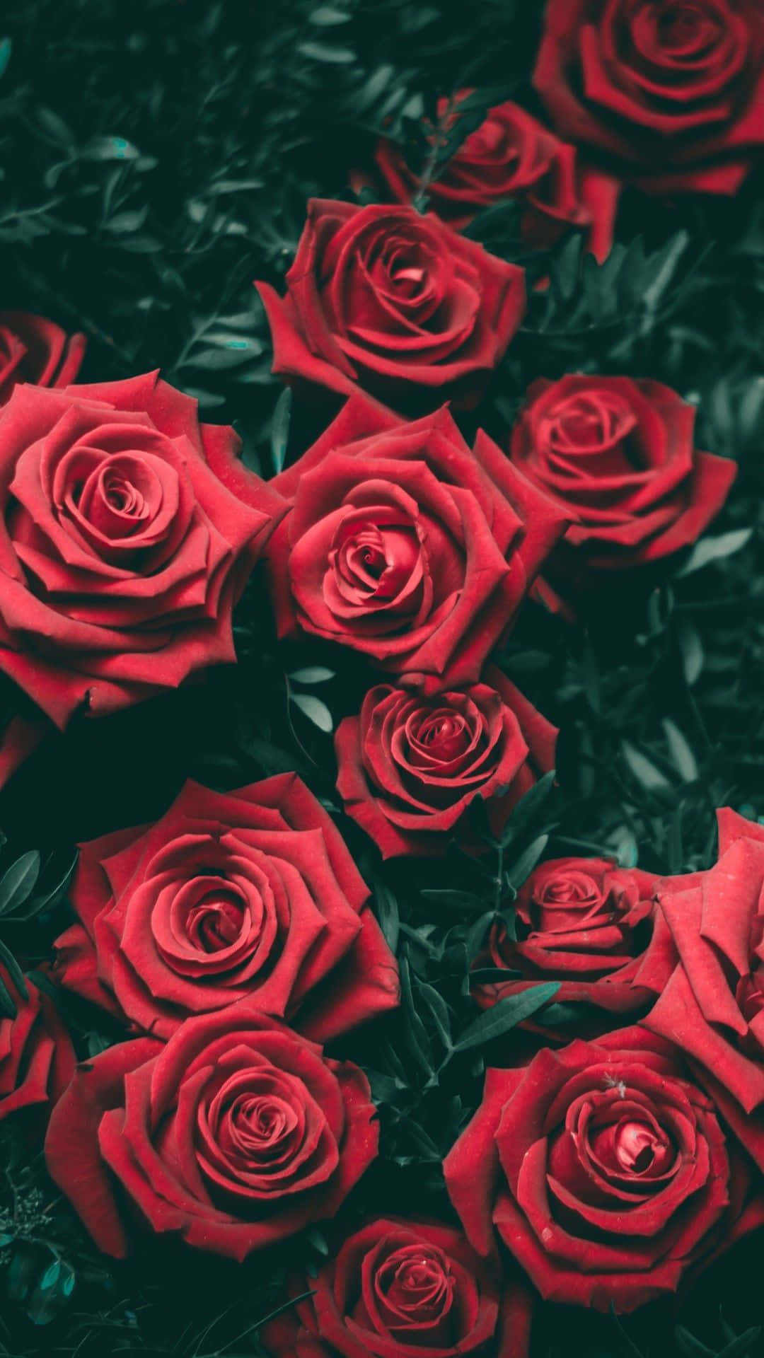 Fengslende blomsterbakgrunn til telefonen din Bakgrunner