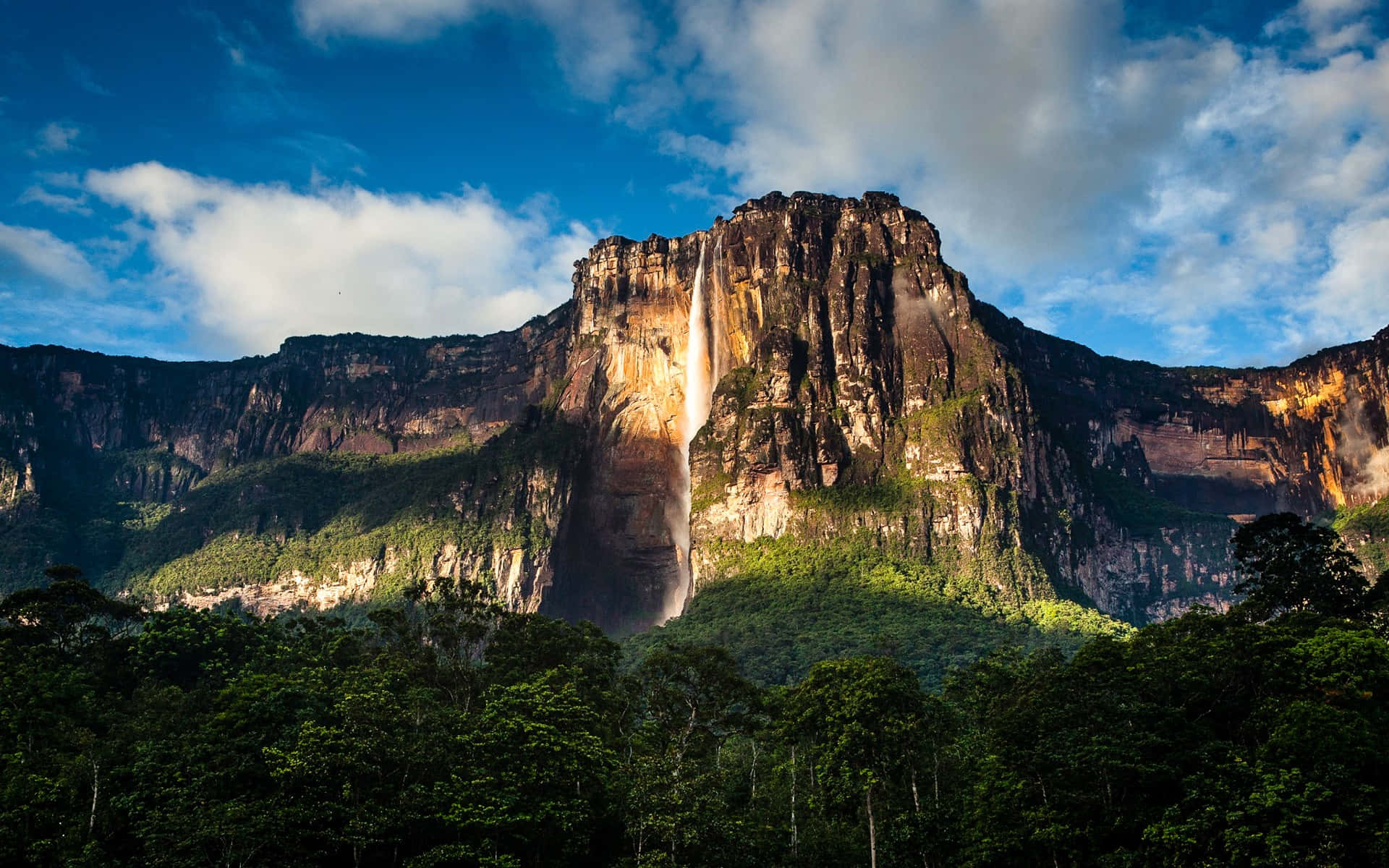 Fengslende fotografi av Angel Falls Bakgrunner