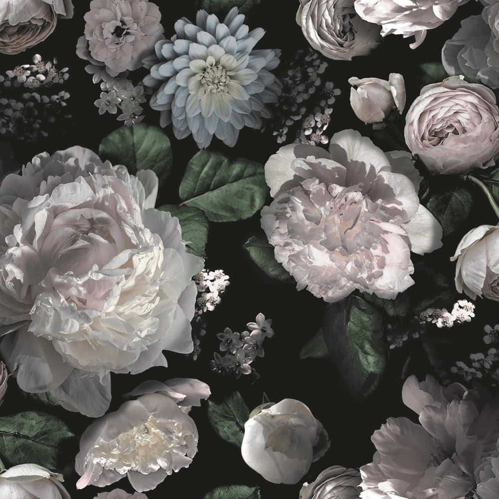 Fengslende mørk blomsterbakgrunn Bakgrunner