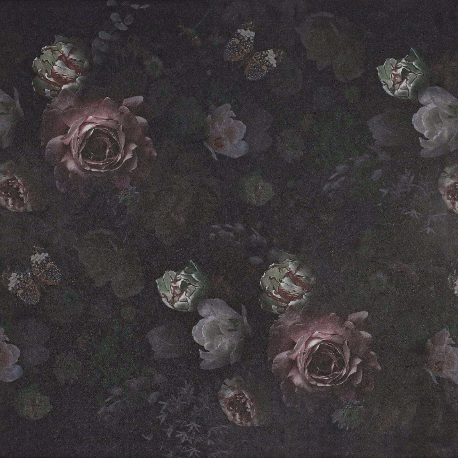 Fengslende mørk blomsterbakgrunn Bakgrunner