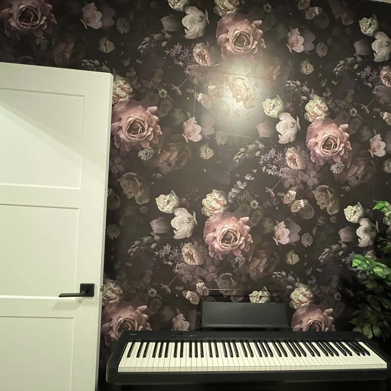 Fengslende mørk blomsterbakgrunn Bakgrunner