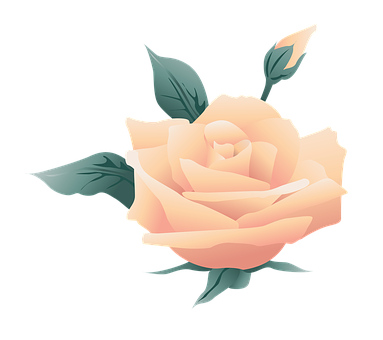 Ferskenrose-illustrasjon Bakgrunner