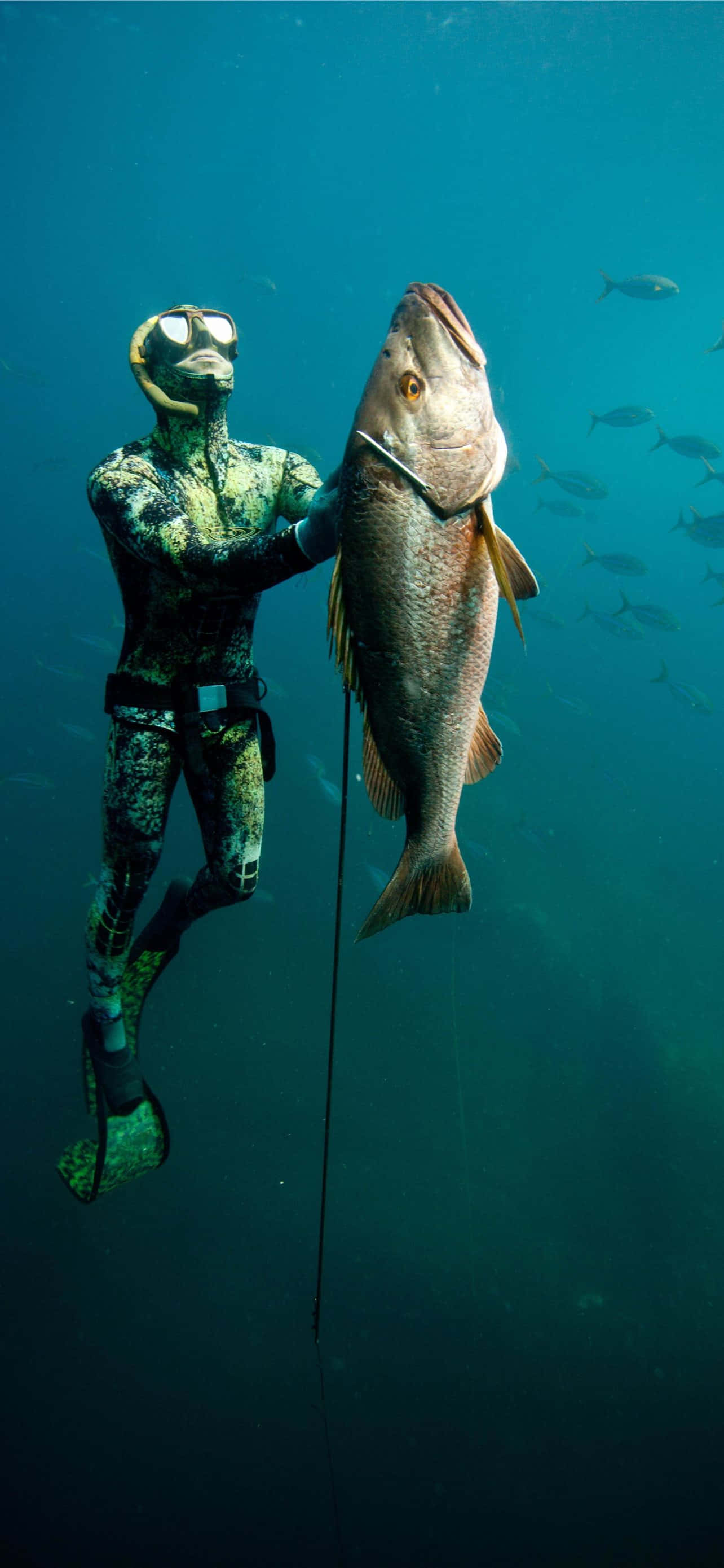 Fiskebilder Bakgrunner