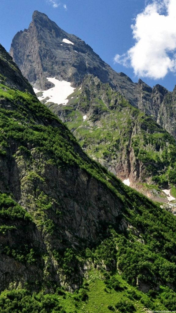 Fjellskog Natur iPhone Bakgrunner