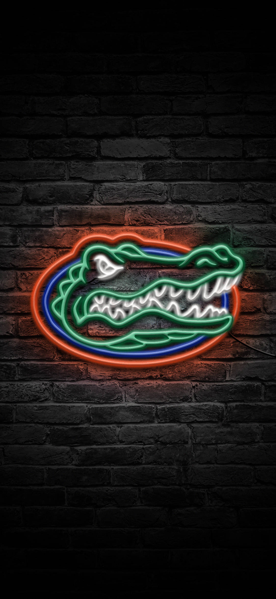 Florida Gators Logo I Neonlys Bakgrunner