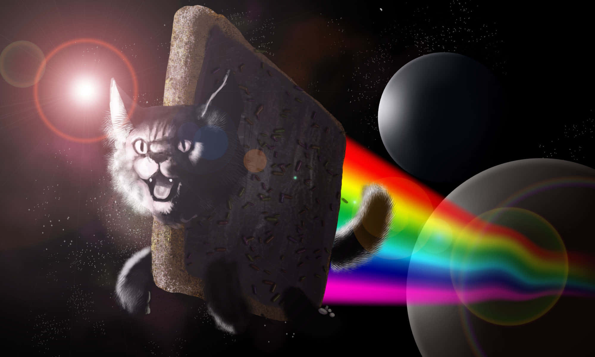 Flyvende Nyan Cat Meme Laptop Bakgrunner