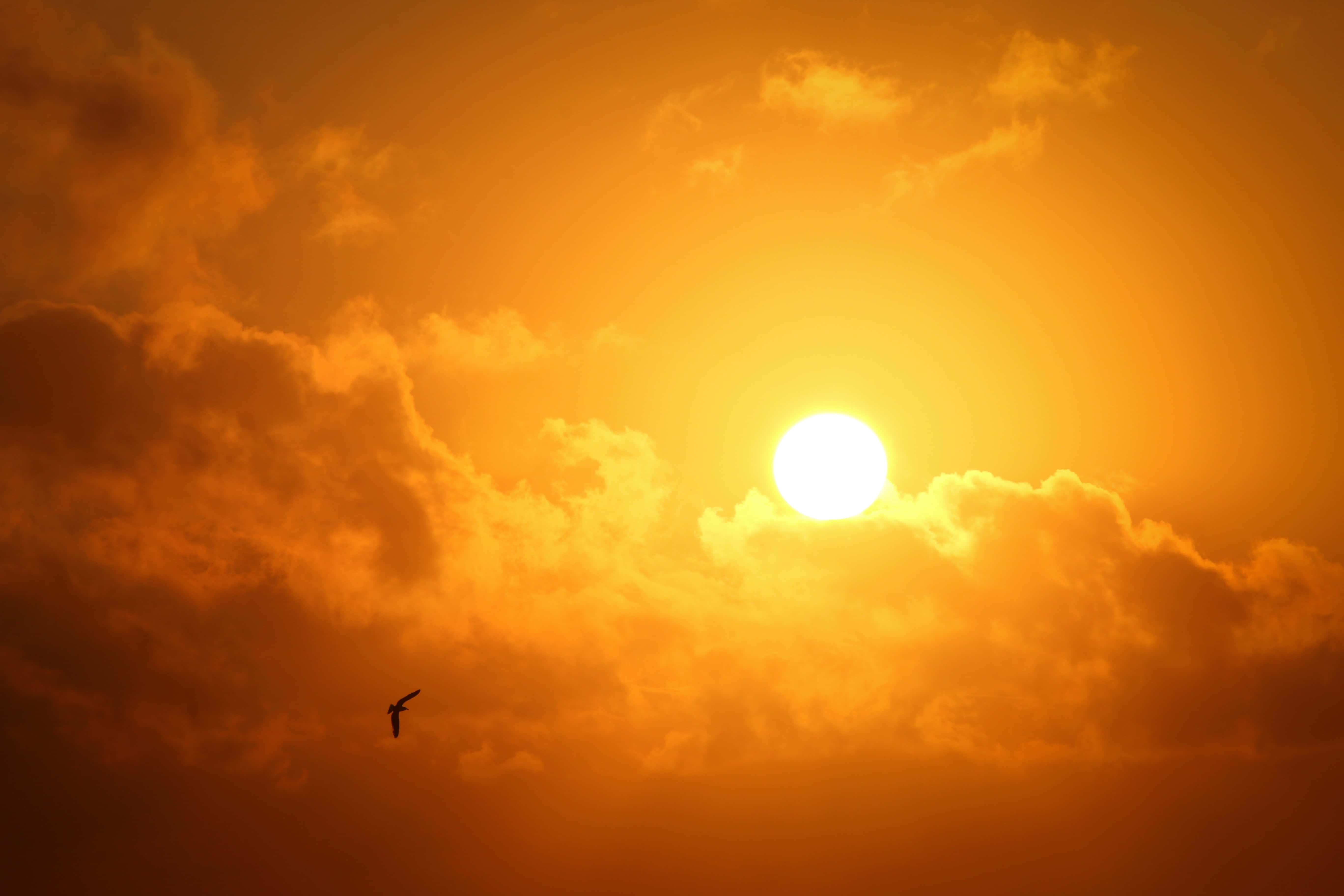 Føl roen og skjønnheten i en solnedgang Bakgrunner